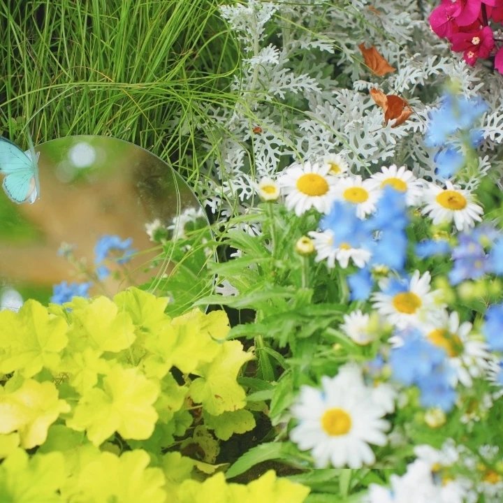 北京市海淀区清华东路17号（东校区）