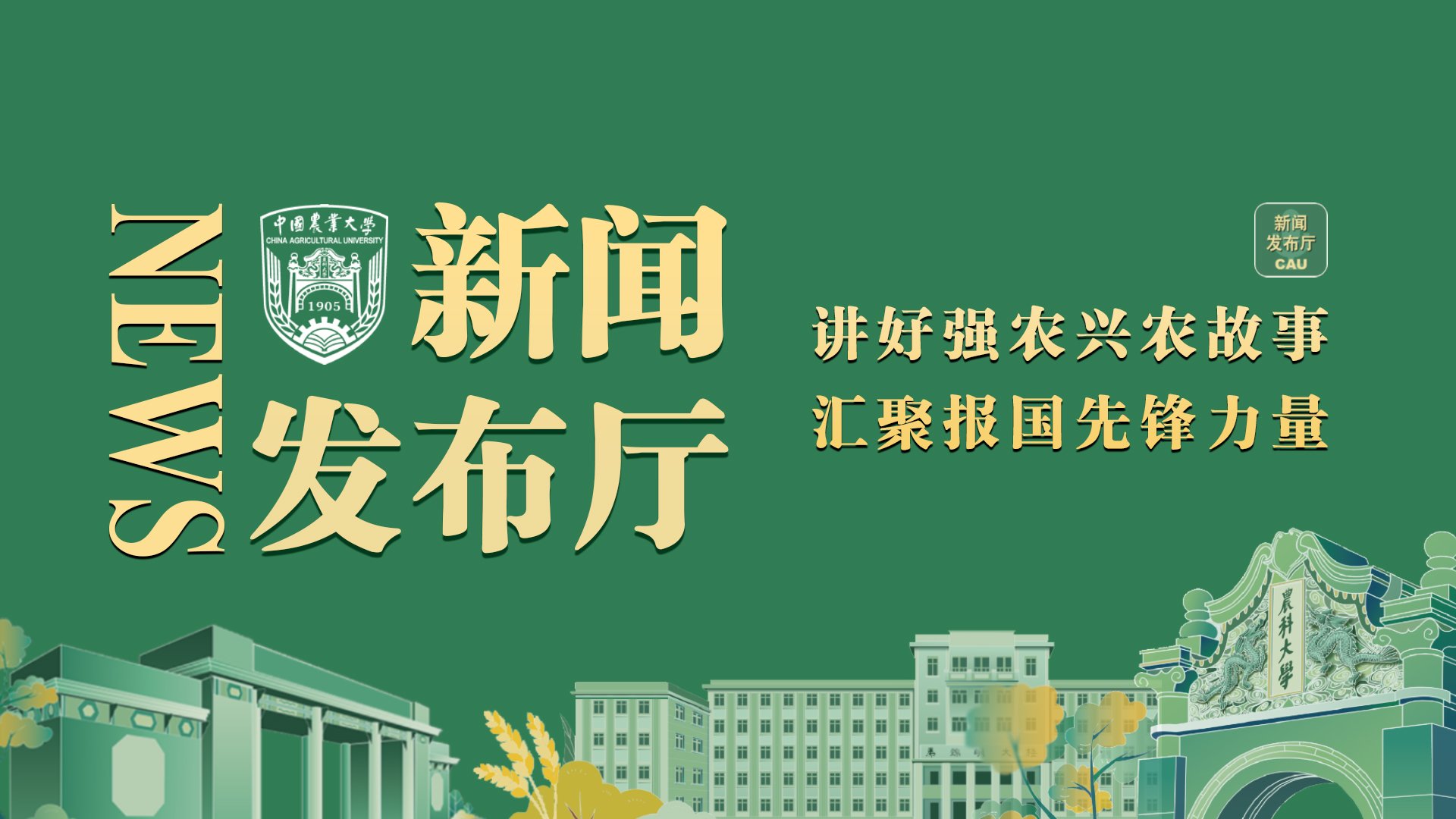 若从搜索引擎进入