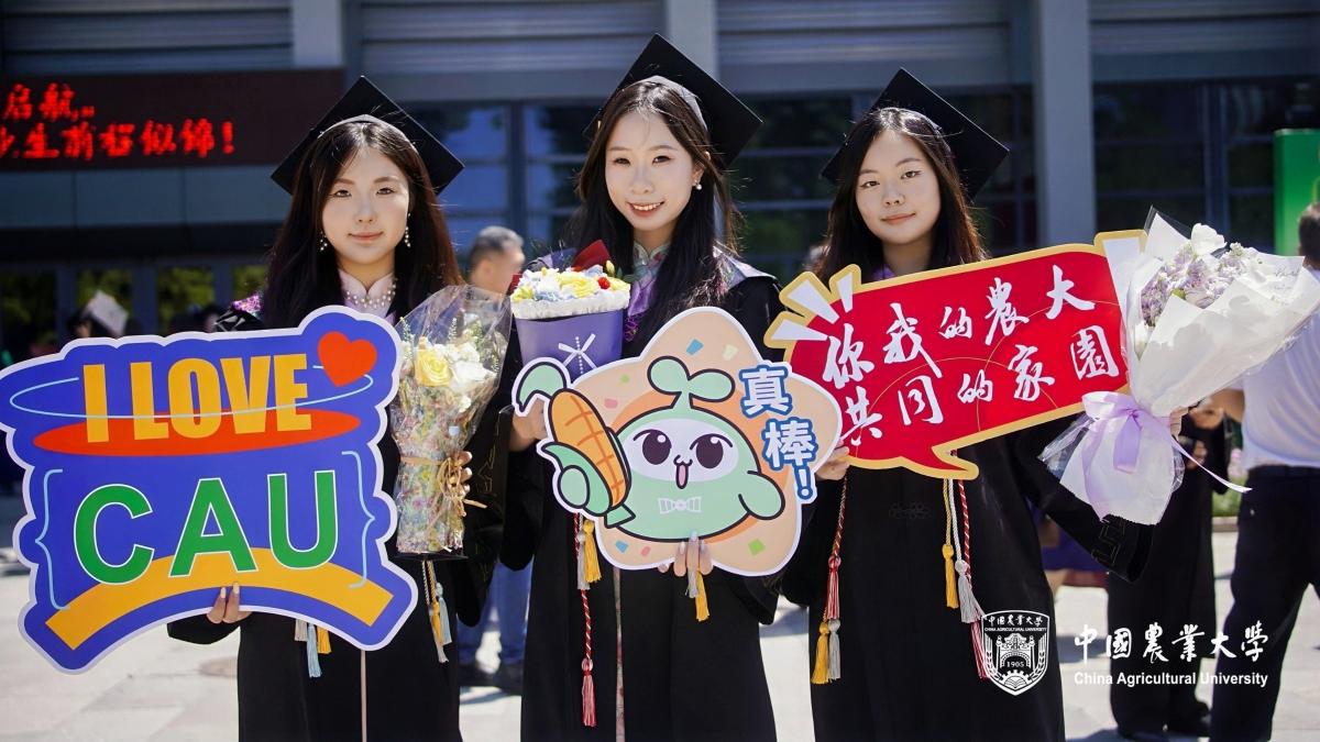 再进入全文