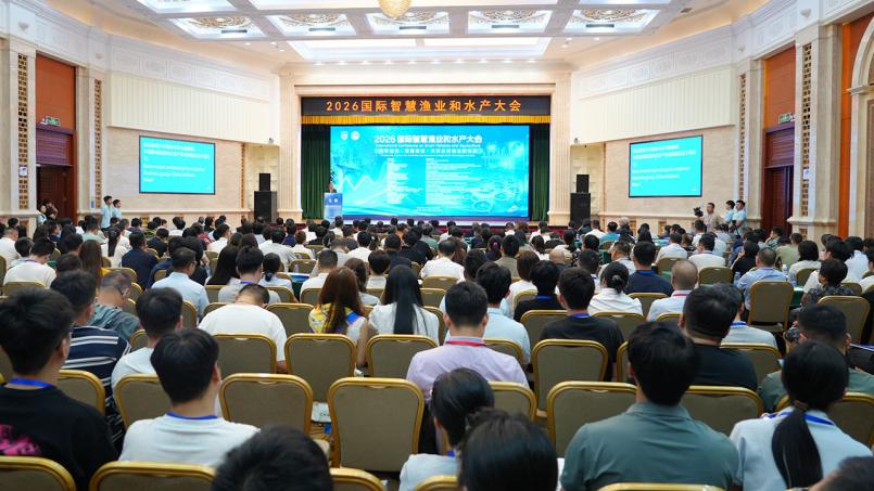 爱游戏体育官方网站