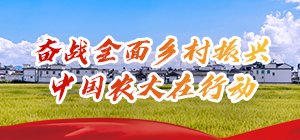 各爱游戏体育