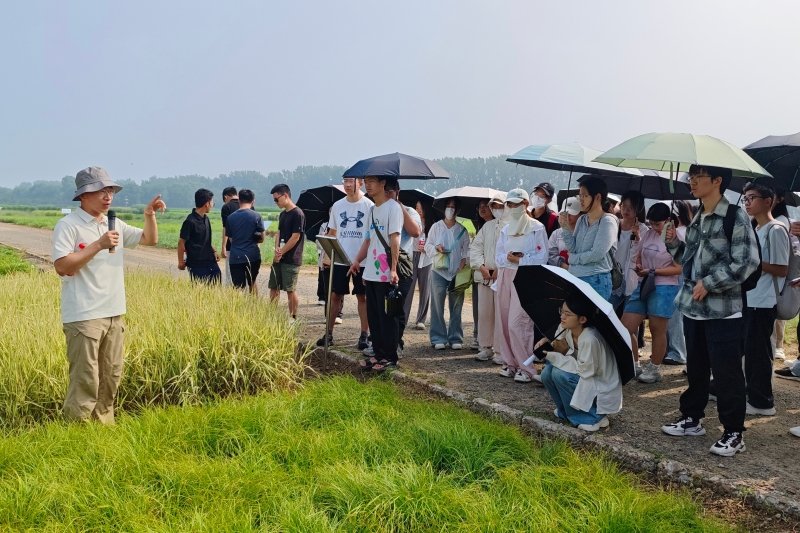 园林植物应用等专业知识